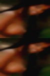 Black pussy Cherryville